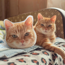 画像をギャラリービューアに読み込む, 愛するペットをいつも身近に - オーダーメイド ペットぬいぐるみ 製作サービス