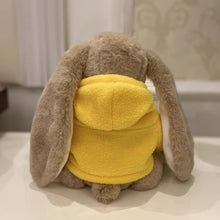 画像をギャラリービューアに読み込む, 【オーダーメイド】ぬいぐるみ|メッセージ入り 服を着るホーランドロップ|うさぎちゃん 記念日 出産祝い プレゼント