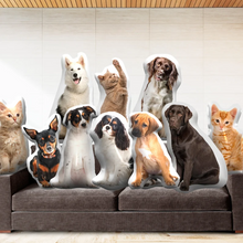 画像をギャラリービューアに読み込む, 愛するペットをいつも身近に - オーダーメイド ペットぬいぐるみ 製作サービス