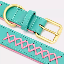 画像をギャラリービューアに読み込む, 犬首輪