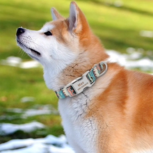 画像をギャラリービューアに読み込む, 名入れ 犬の首輪 迷子札付き  おしゃれ