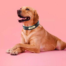 画像をギャラリービューアに読み込む, 名入れ 犬首輪