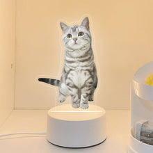 画像をギャラリービューアに読み込む, ペットの記念品|写真入りナイトライト