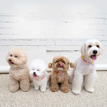 画像をギャラリービューアに読み込む, 名入れ首飾り ペットのネックレス 可愛い