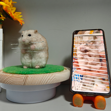 画像をギャラリービューアに読み込む, オーダーメイド ペット ウールフェルト|亡くなった ペット 羊毛フェルト|ペット メモリアル グッズ | ハムスターのぬいぐるみ Unimstar(XIII)