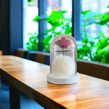 画像をギャラリービューアに読み込む, オーダーメード|ペットの記念品 デコレーション|追悼飾り物|手作り 装飾品