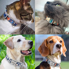 画像をギャラリービューアに読み込む, 名入れ 犬の首輪 迷子札付き  おしゃれ