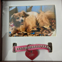画像をギャラリービューアに読み込む, 名入れ 写真立て ペットフォトフレーム 記念日