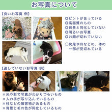 画像をギャラリービューアに読み込む, 「世界に一つのポーチ」うちの子の写真から作るオリジナルポーチ|ペットイラスト 名入れ プリント|犬・猫 メッセージ入り|Unimstar