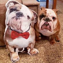 画像をギャラリービューアに読み込む, 愛するペットをいつも身近に - オーダーメイド ペットぬいぐるみ 製作サービス