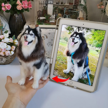 画像をギャラリービューアに読み込む, オーダーメイド 羊毛 フェルト ペット|ペット ぬいぐるみ|亡くなった ペット ぬいぐるみ|ペット メモリアル|フェルト ペット