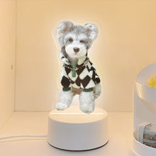 画像をギャラリービューアに読み込む, ペットの記念品|写真入りナイトライト