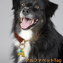 画像をギャラリービューアに読み込む, 【オーダーメイド】ペット 犬用迷子札|アルファベット チャーム|誕生石 名入れ 刻印