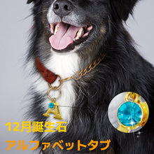 画像をギャラリービューアに読み込む, 【オーダーメイド】ペット 犬用迷子札|アルファベット チャーム|誕生石 名入れ 刻印