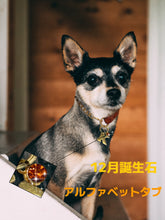 画像をギャラリービューアに読み込む, 【オーダーメイド】ペット 犬用迷子札|アルファベット チャーム|誕生石 名入れ 刻印