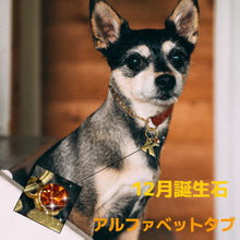 画像をギャラリービューアに読み込む, 【オーダーメイド】ペット 犬用迷子札|アルファベット チャーム|誕生石 名入れ 刻印