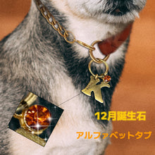 画像をギャラリービューアに読み込む, 【オーダーメイド】ペット 犬用迷子札|アルファベット チャーム|誕生石 名入れ 刻印