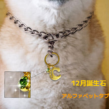 画像をギャラリービューアに読み込む, 【オーダーメイド】ペット 犬用迷子札|アルファベット チャーム|誕生石 名入れ 刻印