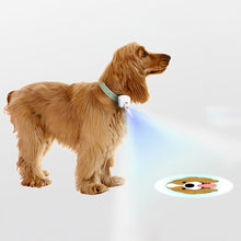 画像をギャラリービューアに読み込む, 愛犬の写真を夜道に投影する名入れ対応LEDお散歩ライト