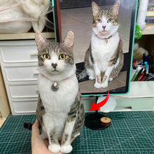 画像をギャラリービューアに読み込む, オーダーメイド 羊毛 フェルト ペット|ペット ぬいぐるみ|亡くなった ペット ぬいぐるみ|ペット メモリアル|ペット そっくり ぬいぐるみ