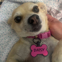 画像をギャラリービューアに読み込む, ペットタグ    シリコーン製ペットタグ