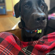 画像をギャラリービューアに読み込む, ペットタグ    シリコーン製ペットタグ