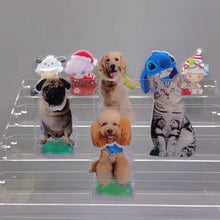 画像をギャラリービューアに読み込む, 愛犬・ 愛猫 頭揺れるアクリルスタンド|ペットの写真で作る車用飾り 可愛い うちの子