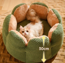 画像をギャラリービューアに読み込む, ペットのぐっすりベッド 小型犬・猫サイズ|うちの子 ペット用品 ふわふわ 4色|Unimstar