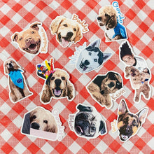 画像をギャラリービューアに読み込む, 【オーダーメイド】ペット名入れ・写真入り オリジナルステッカー|愛犬・愛猫 うちの子ステッカー作成