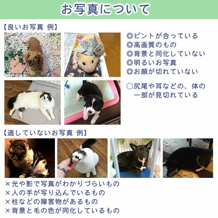 オーダーメイド】うちの子写真から作るオリジナルトートバッグ オーダーメイド】うちの子写真から作るオリジナルトートバッグ